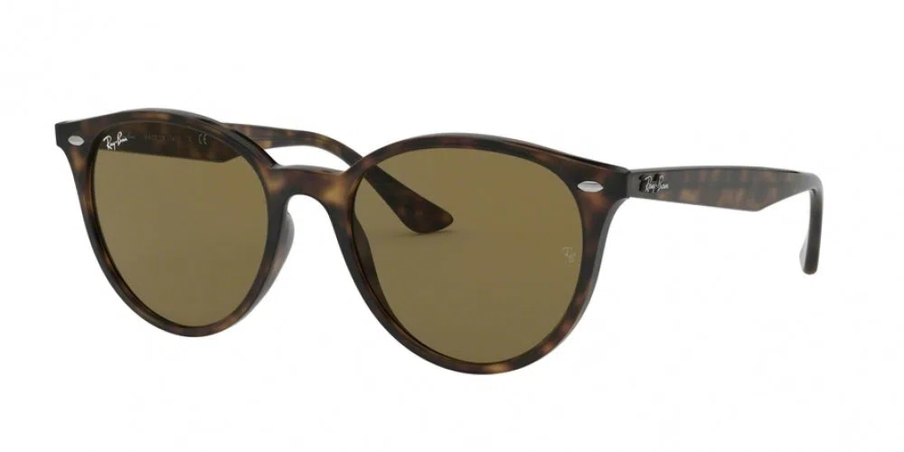 Ray-Ban 4305 Sunglasses - view 6